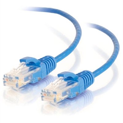 C2G 1ft Cat6 Snagless Unshielded (UTP) Slim Ethernet Network Patch Cable - Blue - patch cable - 1 ft - blue