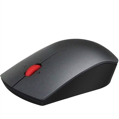 Lenovo Professional - mouse - 2.4 GHz