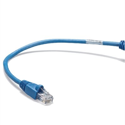 Black Box patch cable - 3 ft - blue