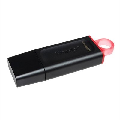 Kingston DataTraveler Exodia - USB flash drive - 256 GB