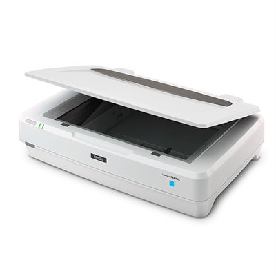Epson Expression 13000XL - flatbed scanner - desktop - USB 2.0