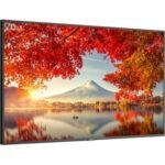 NEC Display UHD Professional Display with ATSC/NTSC Tuner - 75" - 3840 x 2160