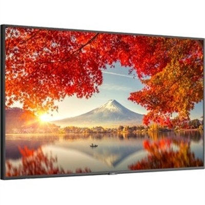 NEC Display UHD Professional Display with ATSC/NTSC Tuner - 75" - 3840 x 2160
