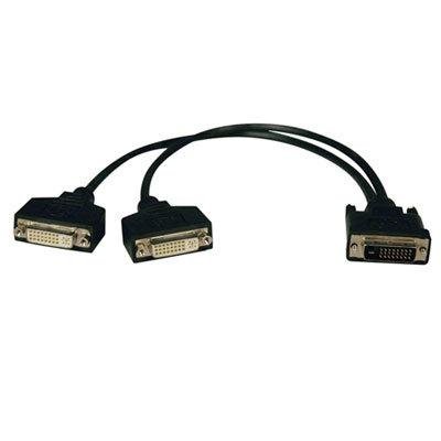 Tripp Lite 1ft DVI Y Splitter Video Monitor Cable DVI-D M/2xF 1' - DVI splitter - 1 ft