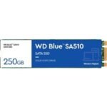 WD Blue SA510 WDS250G3B0B - SSD - 250 GB - SATA 6Gb/s