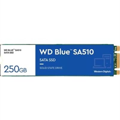 WD Blue SA510 WDS250G3B0B - SSD - 250 GB - SATA 6Gb/s