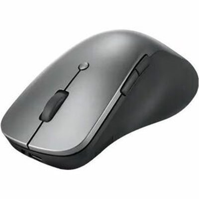 Lenovo Professional - mouse - Bluetooth 5.1 - storm gray